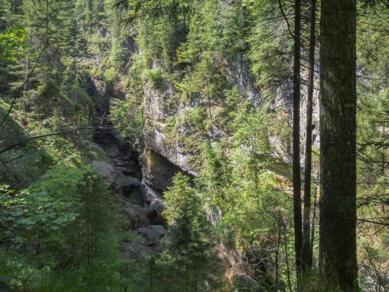 Die Strubklamm, eine Schlucht im Salzburger Land