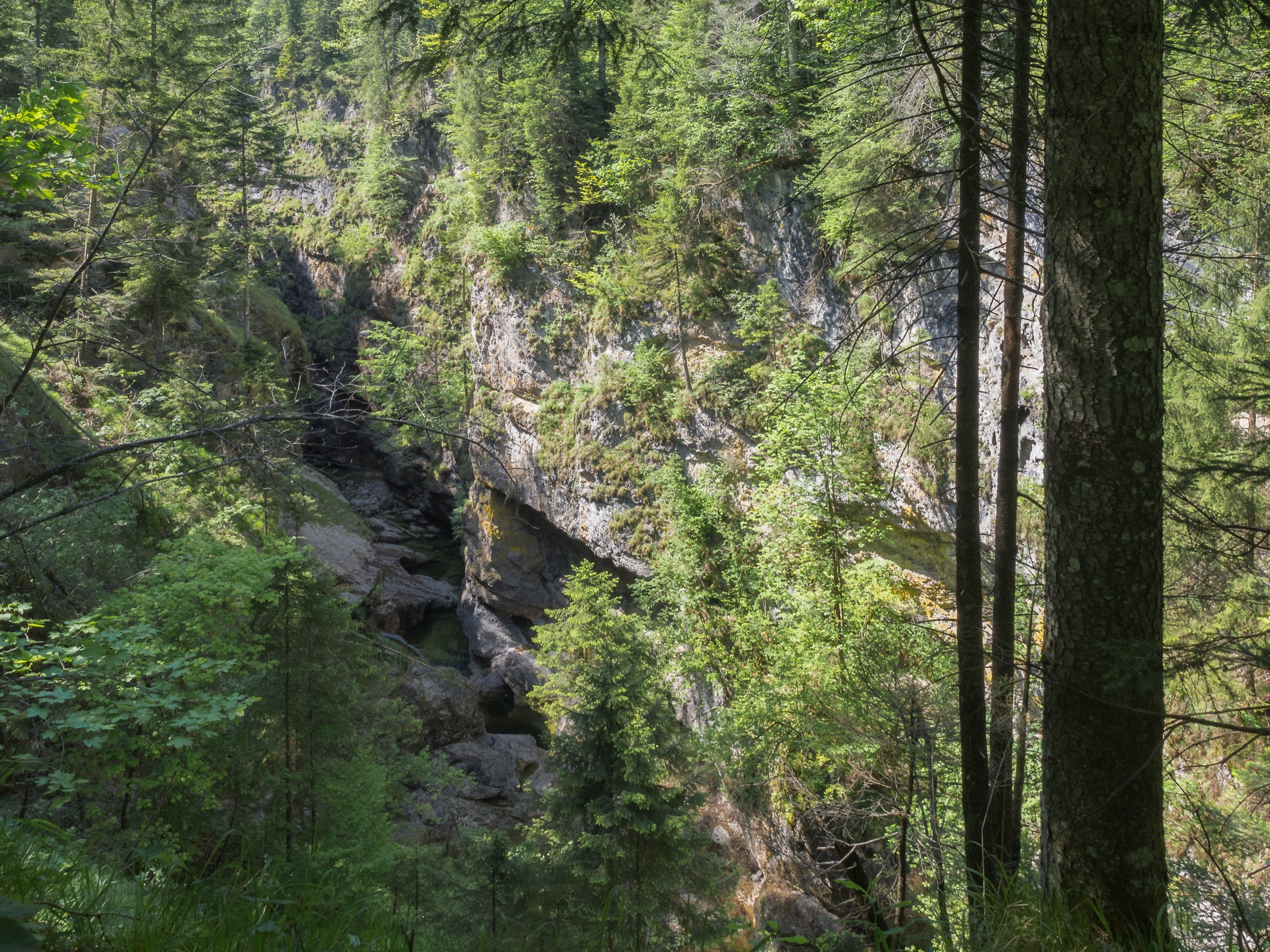 Die Strubklamm, eine Schlucht im Salzburger Land